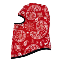 Paisley Full Graphic Balaclava Ski Mask